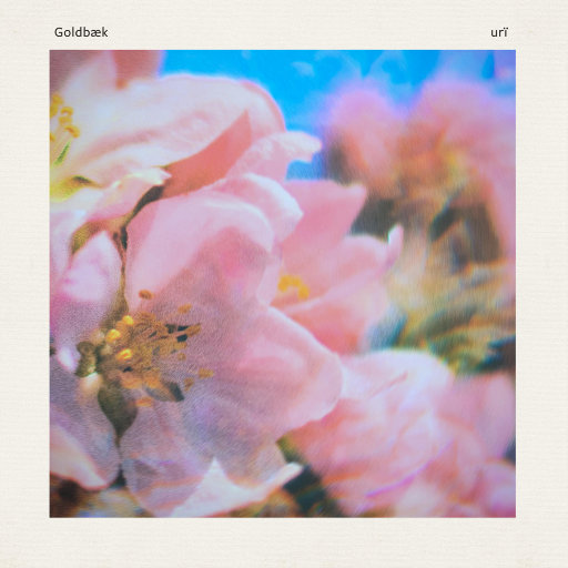 日本老肥婆BBBWBBBW百度
